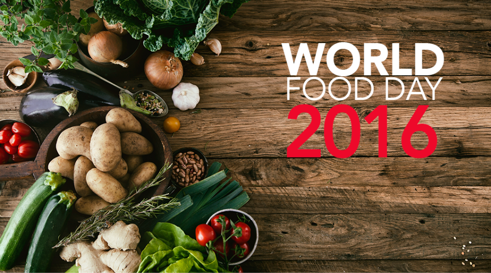 World Food Day